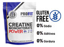 Creatina Monohidratada Power 300g Refil Profit Sabor Natural